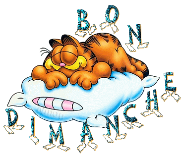 Bon dimanche
