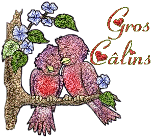 Gros calins
